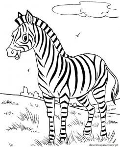 Read more about the article Desenhos de zebras – zebra para imprimir e colorir 04